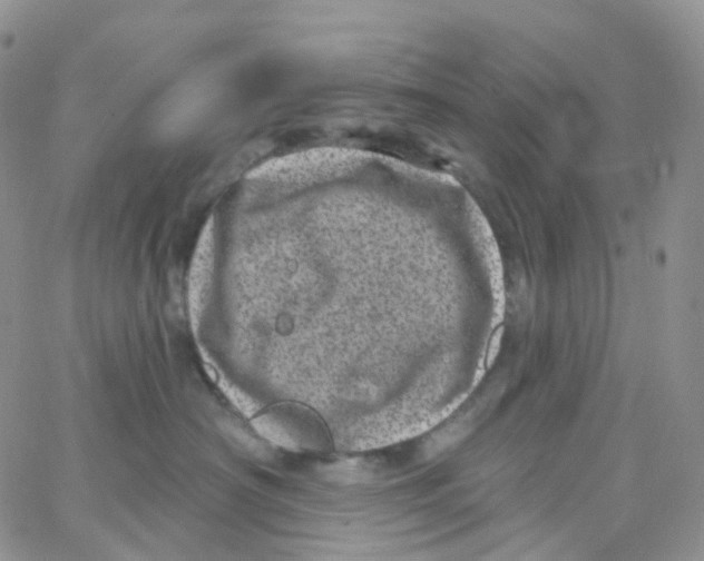 X0000065260430200603131207