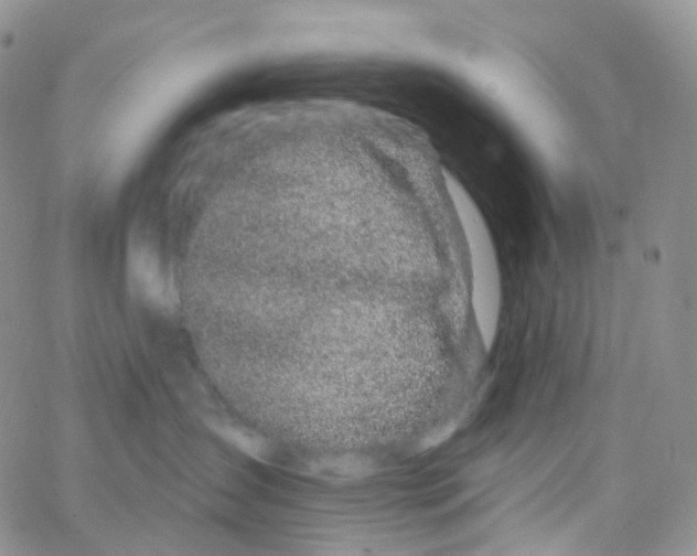 X0000065260431200603131207