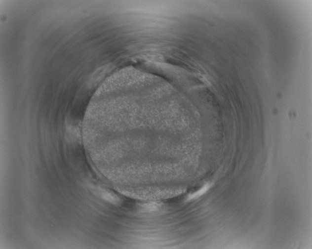 X0000065260432200603131207