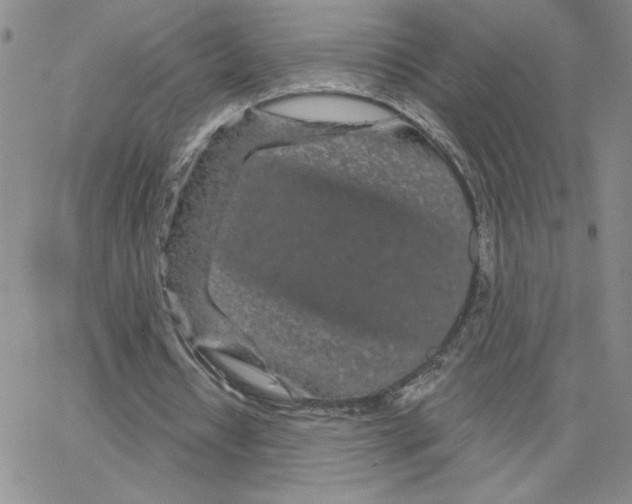 X0000065260434200603131206