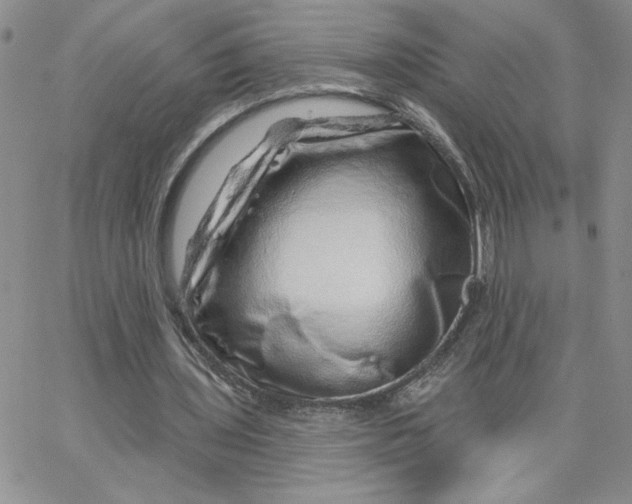 X0000065260435200603131206