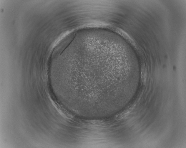 X0000065260436200603131206