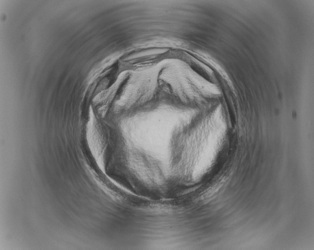 X0000065260437200603131206