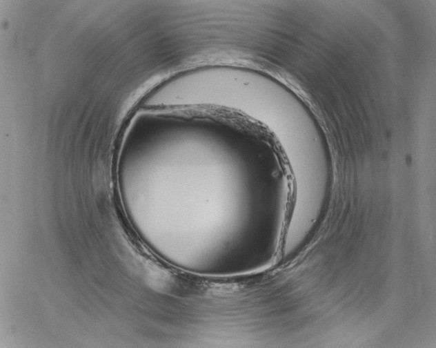 X0000065260438200603131206