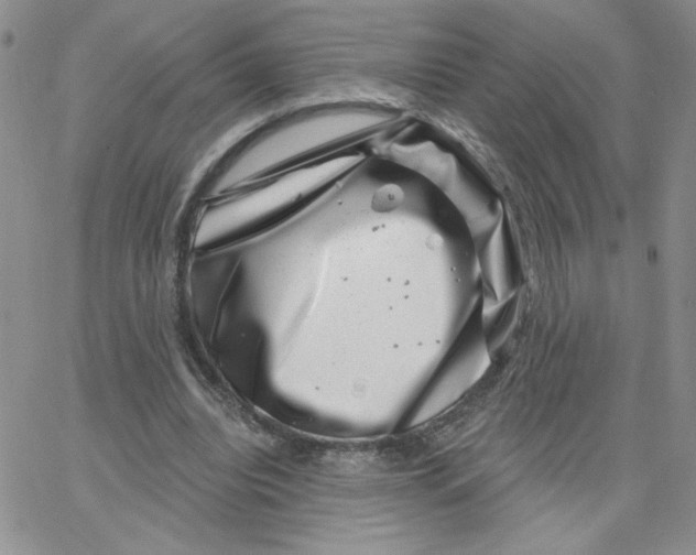 X0000065260440200603131206