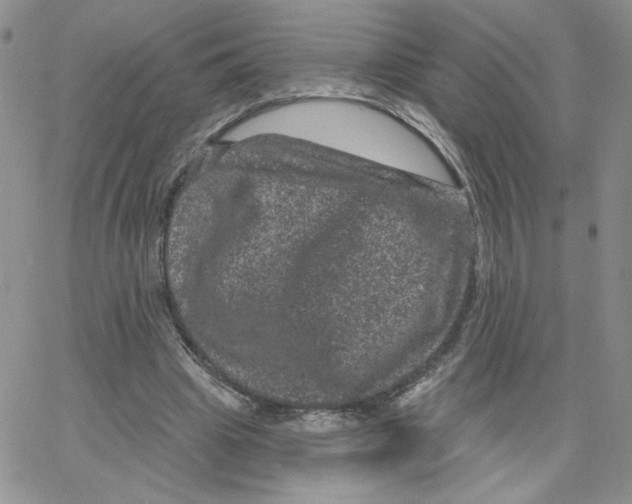 X0000065260441200603131206