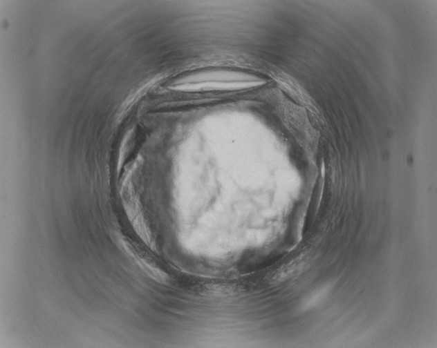 X0000065260442200603131206