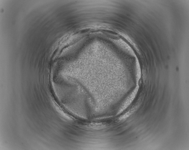 X0000065260445200603131206