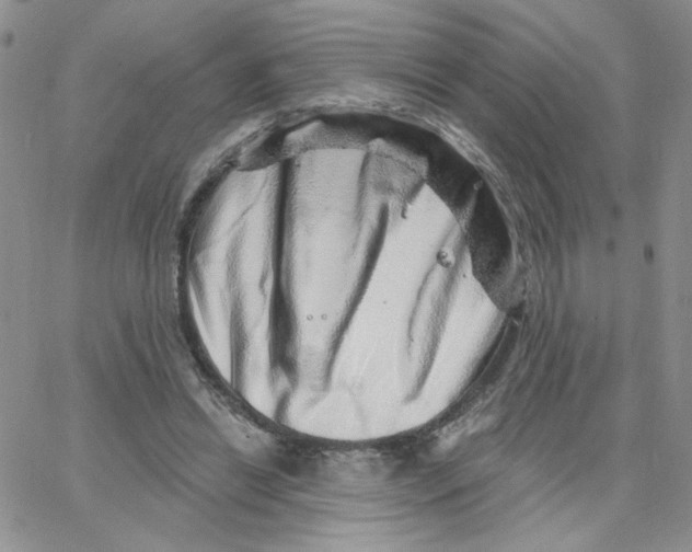 X0000065260446200603131206