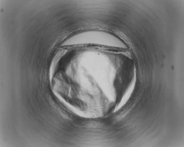 X0000065260449200603131206