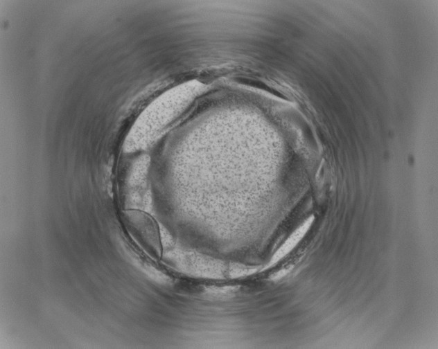 X0000065260450200603131206