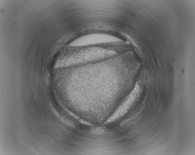 X0000065260451200603131206