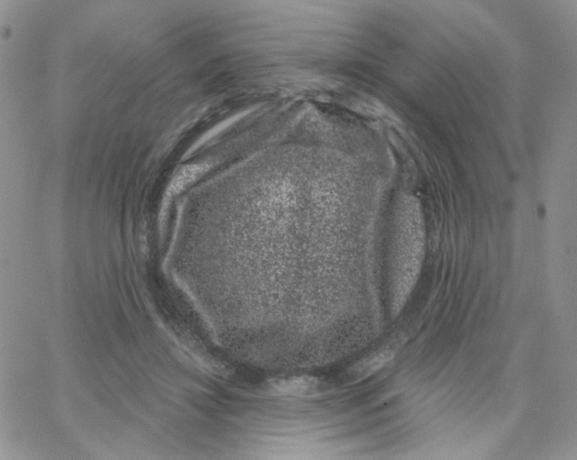 X0000065260452200603131206