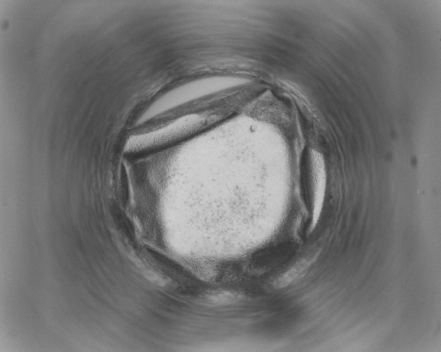 X0000065260453200603131206