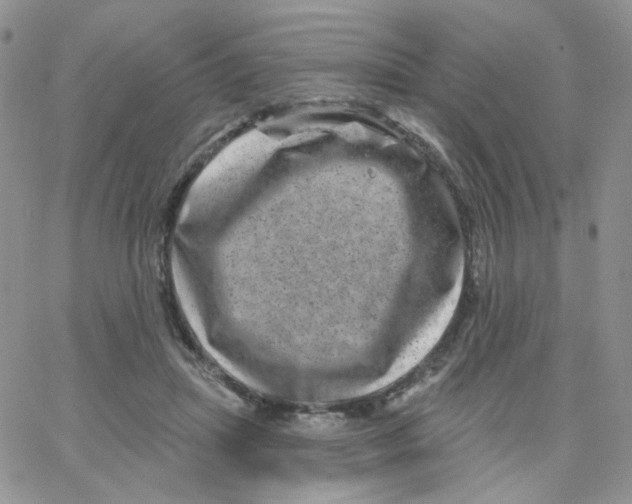 X0000065260455200603131206