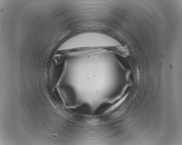 X0000065260456200603131207