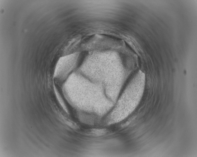 X0000065260457200603131207