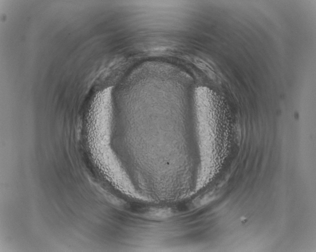 X0000065260458200603131207