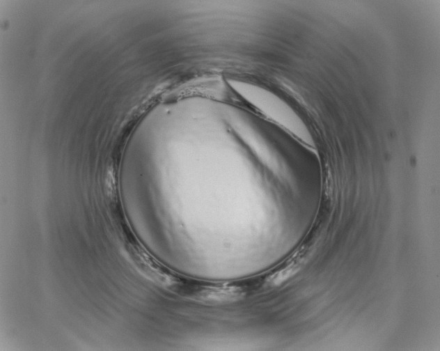 X0000065260459200603131207