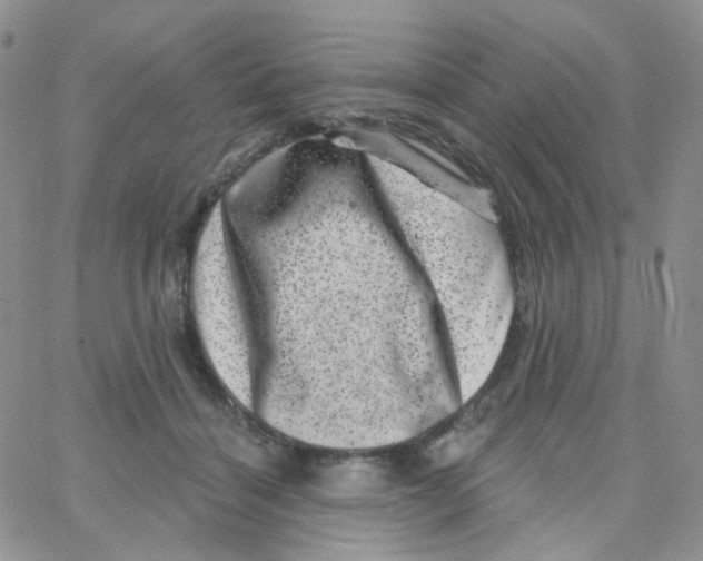 X0000065260460200603131207