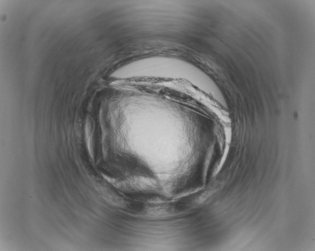 X0000065260461200603131207