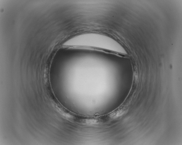 X0000065260462200603131207