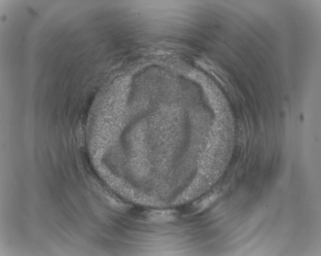 X0000065260465200603131207