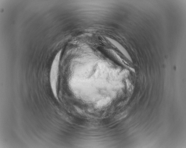 X0000065260466200603131207