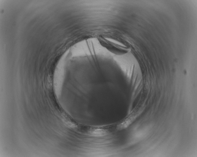 X0000065260467200603131207