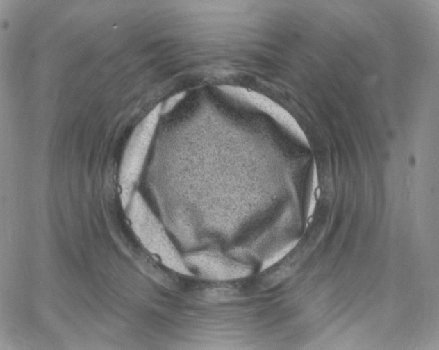 X0000065260468200603131207