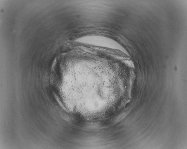 X0000065260469200603131207