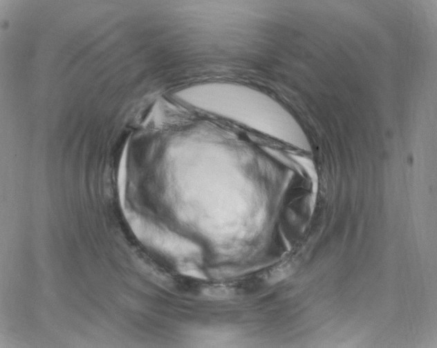 X0000065260470200603131207