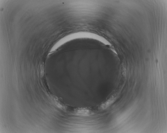 X0000065260471200603131207