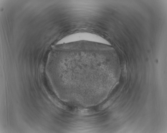 X0000065260472200603131207