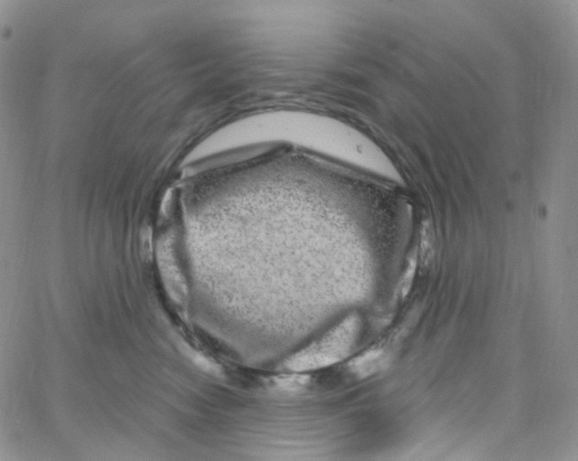 X0000065260474200603131207