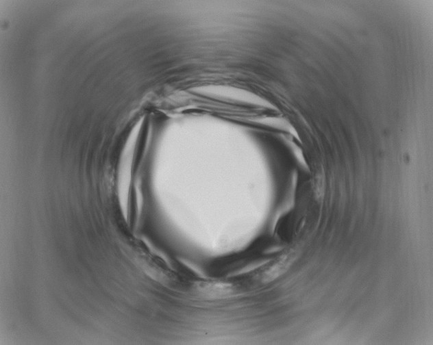 X0000065260476200603131207