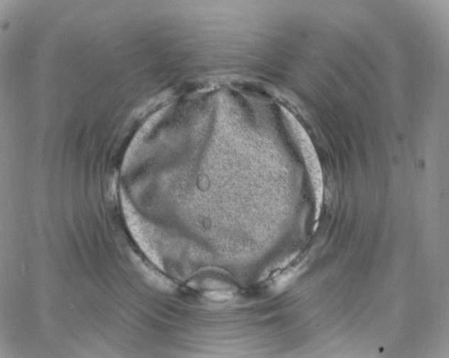 X0000065260477200603131207