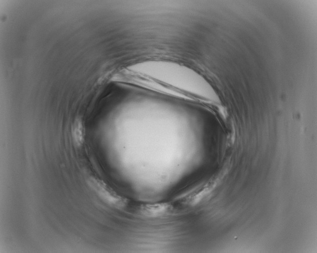 X0000065260479200603131207