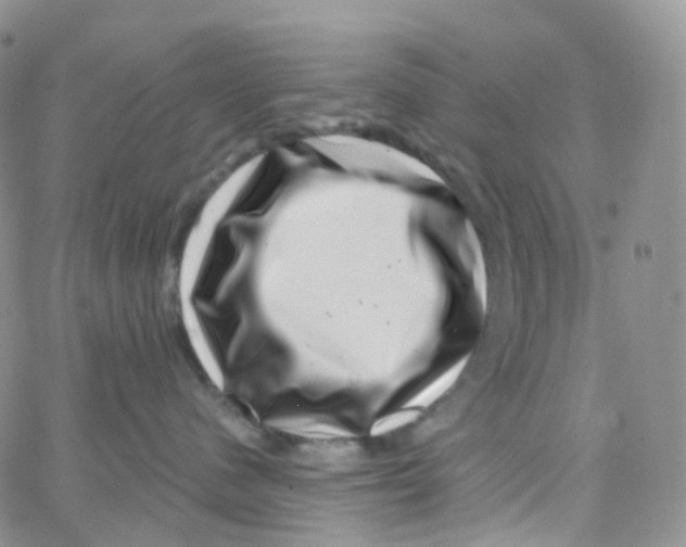 X0000065260480200603131207