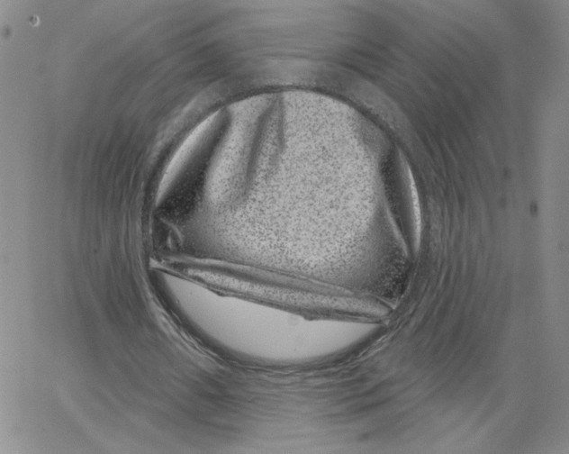 X0000065260482200603131206