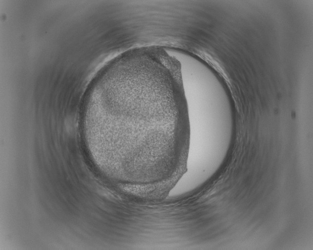 X0000065260483200603131206