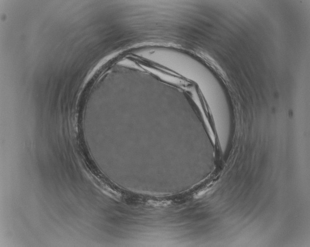 X0000065260484200603131206