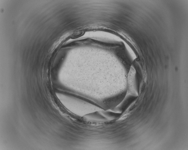 X0000065260485200603131206