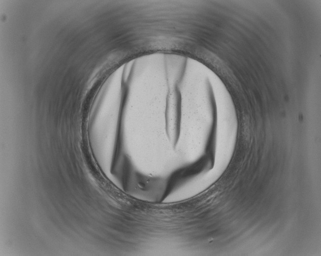 X0000065260486200603131206