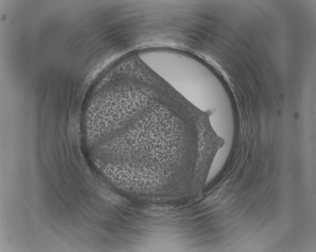 X0000065260487200603131206