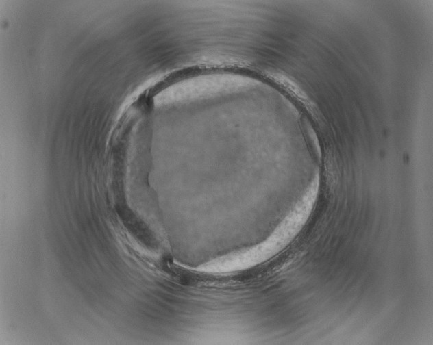 X0000065260488200603131206