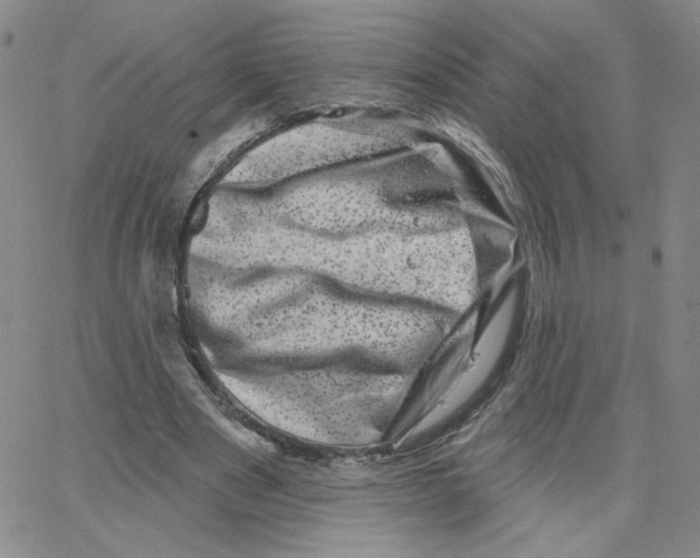 X0000065260489200603131206