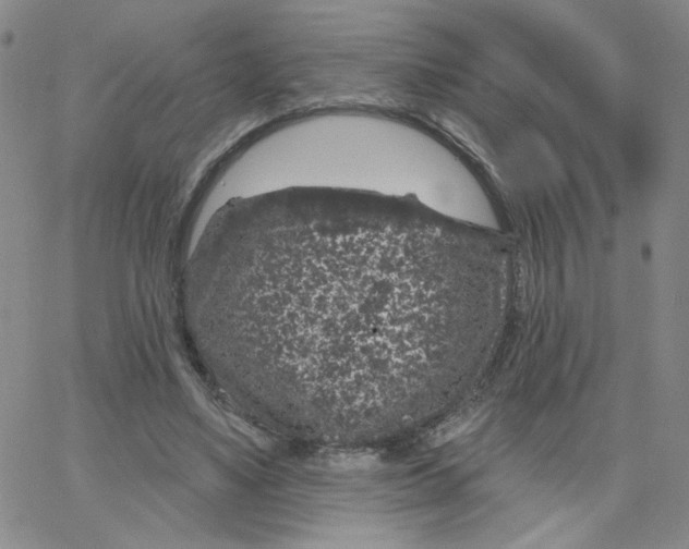 X0000065260491200603131206