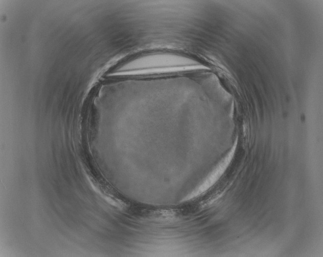 X0000065260492200603131206