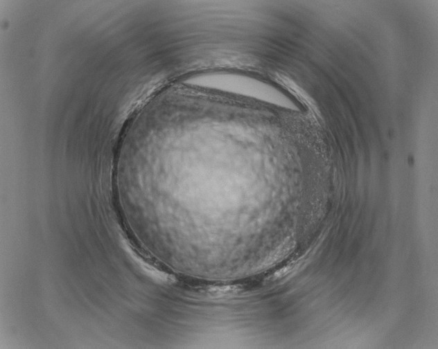 X0000065260493200603131206